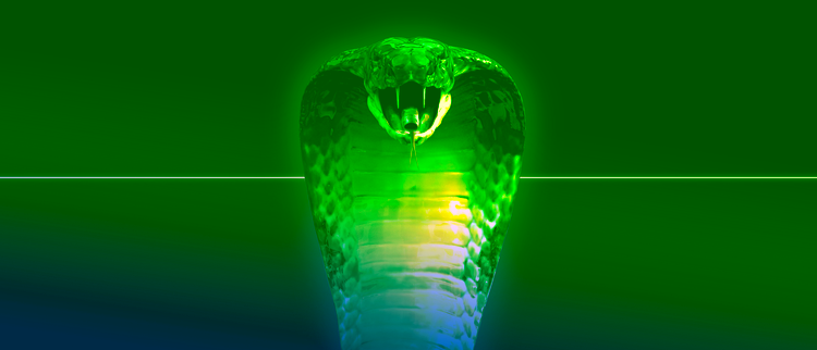 fuos banner